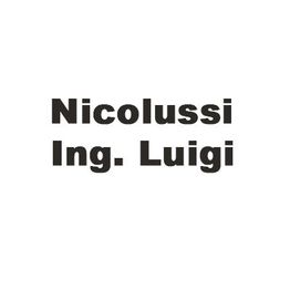 Nicolussi Ing. Luigi logo