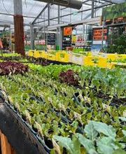 HORNBACH Gartencenter Görlitz Bild 2
