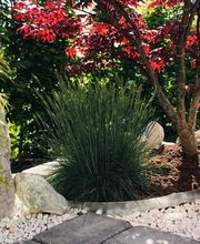 Schilling & Lang eGbR Bild 1