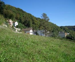 Zehnder Immobilien AG Bild 1