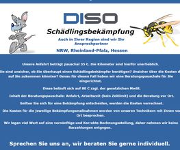 DISO Anfahrt Text.png