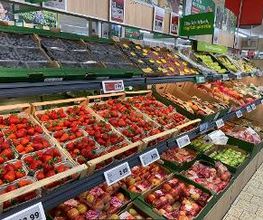 Lidl Bild 5