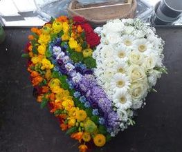 Blumen Dahlmann Bild 1