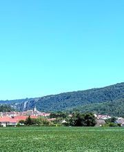 Agence immobilière Le Chêne image 2