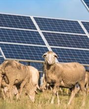 PROJEKTKANZLEI | Rechtsanwalt Sebastian Lange Bild 2