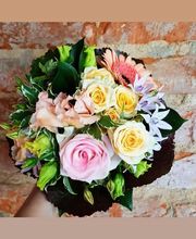 Blumen Kupsch Bild 3