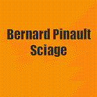 Pinault Bernard