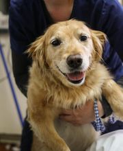 Borash Veterinary Clinic image 14