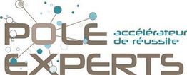 Pôle Experts