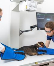 Tierarzt Vlotho, Tierarztpraxis am Roseneck Bild 11