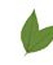 City pet shop image 1