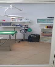 CLINICA VETERINARIA VILLALOBOS imagen 9
