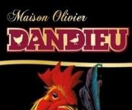 Maison Dandieu image 4
