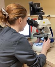 Mission Road Animal Clinic image 6