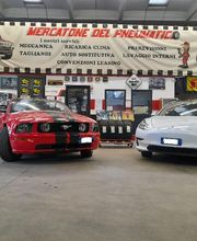 Gallery Cliente