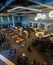 David Lloyd Amsterdam afbeelding 9