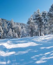 Schwendi-Kaltbad GmbH Bild 2