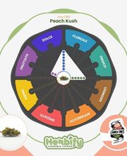 Herbify Cannabis Lovers Delivery immagine 4