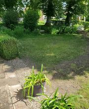 Dewulf Terrassement image 3