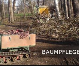 Baumdienst Schaller Bild 1