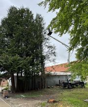 Karl Patrick image 9