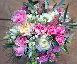 Blumen Anemone Bild 10