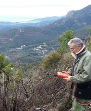 Ferracci Ceccaldi Jean-Joseph image 5