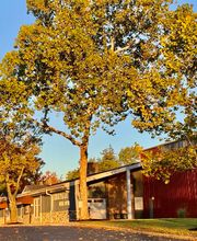 Siebenthaler Dental Center image 9