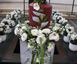 Blumen Siebrecht Bild 8