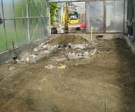 Ilone image 6
