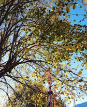 JARDIN DES MARMOTTES image 15