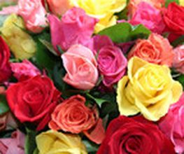 Blumen