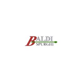 Baldi Spurghi - Spurgo Fognature logo