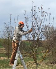 BAUMWART KRAMER Bild 1