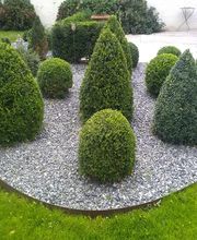 Christophe Abel Paysage image 15