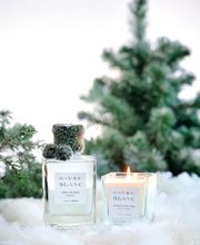 ATMOSPHERE MEGEVE image 12