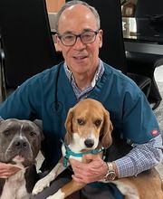 Northside Veterinary Clinic image 8