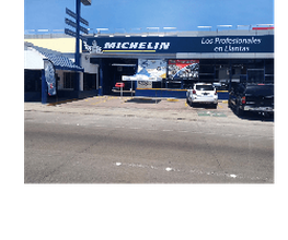 Michelin Car Service- TERSA Llantas Blvd. Salinas imagen 1