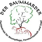 Der Baummarder, Schwethelm