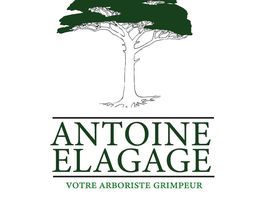 Antoine élagage image 7