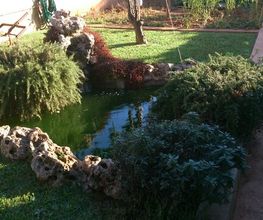 DSC_0032_1.jpg