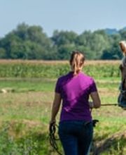 Carowesa Westernreiten Bild 7