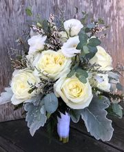 Broad Brook Gardens image 5