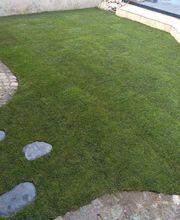 L'Arbre En Bois image 8