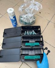 Gothon Dératisation Désinsectisation Désinfection image 4