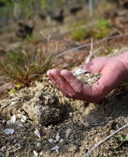 Champagne Henri David-Heucq image 18