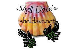 Shell Dave's Kauai Kahelelani Shells