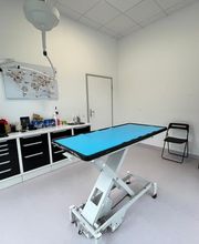 Studio veterinario Can e Gat Bild 3