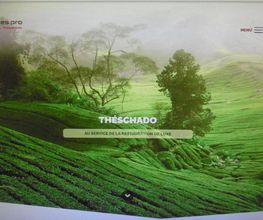 Théschado image 1