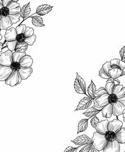 Unidad de dolor pélvico y mujer imagen 5